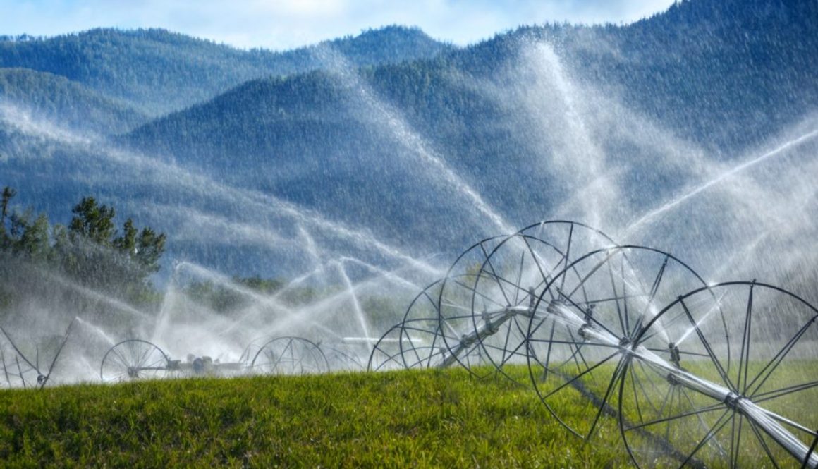 Hay Groundwater Irrigation