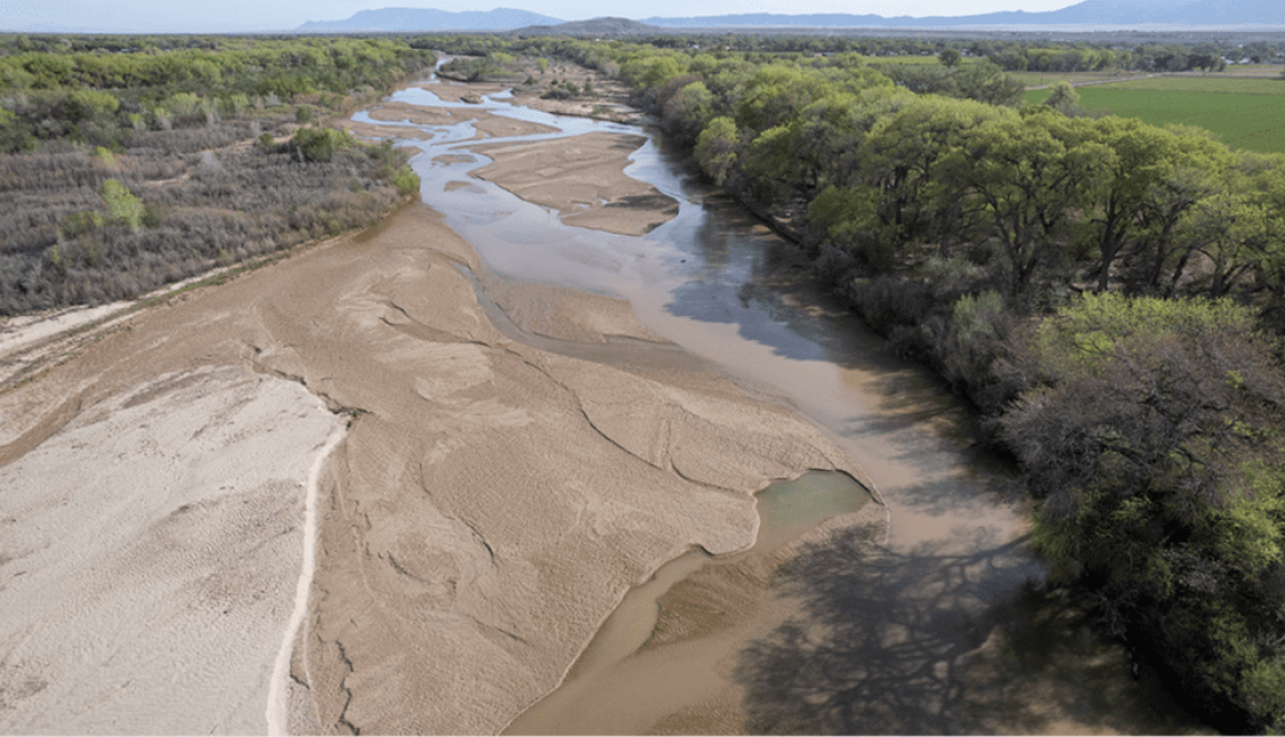 Diminishing flows in the Rio Grande Isleta reach April 9, 2026. Photo by GeoSystems Analysis