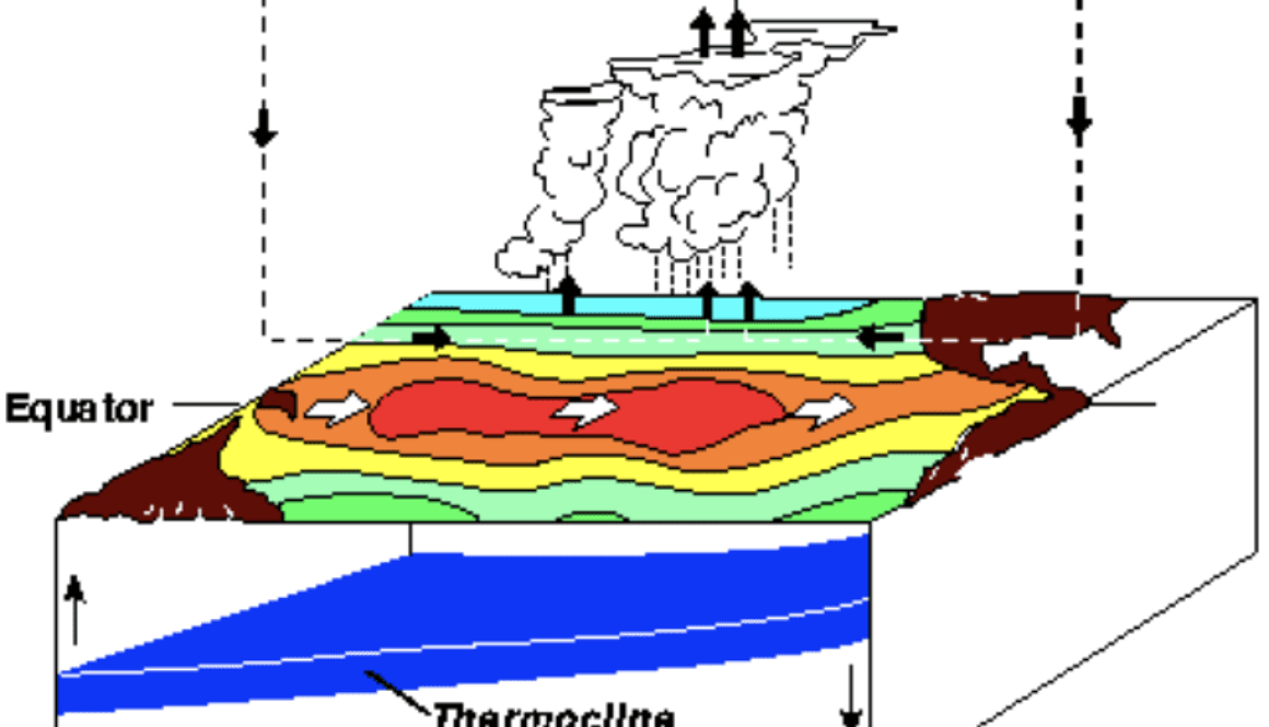 El Niño schematic